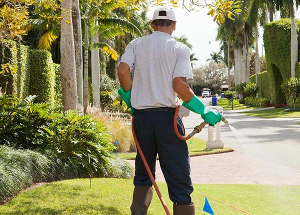 About Sharon MA Pest Control Pros